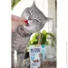  Gimcat Nutri Pockets / Dental 60   (4002064419244)
