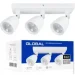  Global   GSL-01S 4100K 3x12  