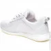 Gloria Shoes    Gloria .36  (034931-36)