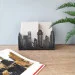    Glozis Chicago G-061 62  20 
