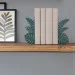    Glozis Monstera G-069 30  20 