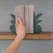    Glozis Monstera G-069 30  20 