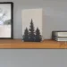    Glozis Pinetree G-104 15  15 
