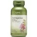   GNC   Astragalus 100  (4384303345)