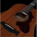   Godin Metropolis Composer LR Baggs Element
