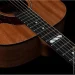   Godin Metropolis Composer LR Baggs Element