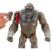  Godzilla Vs. Kong     (35309)