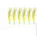   Golden Catch  GC SB14006YG 8 (6 ) (4339001)