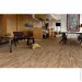 Golden Tile  Alpina Wood brown 897920 15x60 