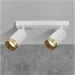Goldlux  Arras 2 2x10  GU10  323606