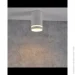 Goldlux   Fabri 10  GU10 319883