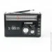Golon  Rx-381  Mp3  ˳ 