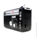 Golon    RX-382 FM/AM/SW   LED  (1756375728)