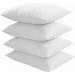Good-Dream  Delice 70x70  (GDDZ7070)
