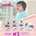 Goo.n -    5(XL), 12-20 , 76 (21000633-2)