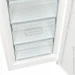   Gorenje FN619FEW5