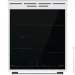  Gorenje GEIT 5C60 WPG
