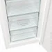   Gorenje FN619EEW5