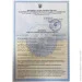   Granado Under Top Double Gris (gr3408)