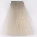Greensoho    Colors Colors 12.1 Platinum Ash 100 