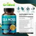   Grimed       Premium Sea Moss 150 