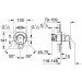   Grohe BauLoop 29042000 + Tempesta-F Trigger Spray 30 26358000 (2904200B)