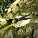   Gruntek T40050 (4042953035605)