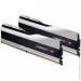   G.skill DDR5 2x16GB/6000 Trident Z5 Silver (F5-6000J3040F16GX2-TZ5S)