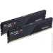   G.skill Flare X5 black DDR5-6000 64GB (2x32GB) CL36-36-36-96 1.35V Intel XMP AMD EXPO (F5-6000J3636F32GX2-FX5)
