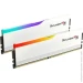   G.skill Ripjaws M5 RGB White DDR5-6400 32GB (2x16GB) CL32-39-39-102 1.40V Intel XMP (F5-6400J3239G16GX2-RM5RW)