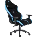   GT Racer X-2565 Black/Blue