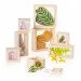   Guidecraft Natural Play   ,  (G3084)