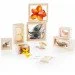   Guidecraft Natural Play   ,  (G3084)