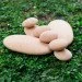 Guidecraft Natural Play   (G6771)