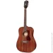   GUILD D-120 (NATURAL)