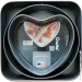  GT-3303     GUSTO, 3  ( 23/ 26/ 28 ) (127808)