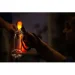   Halimba Crystal Cara Bordeaux 750  2  (1726-13)