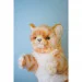   Hansa Toys  ,  Puppet (7182)