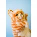   Hansa Toys  ,  Puppet (7182)