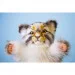   Hansa Toys ,  Puppet (7519)