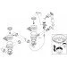 Hansgrohe D17-11    ,  (43938000)