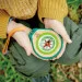   Hape   Nature Fun    (E5575)