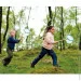 Hape Nature Fun   (E5578)