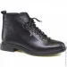    Haries .36  (056244-36)