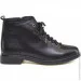    Haries .36  (056244-36)