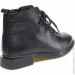    Haries .36  (056244-36)