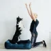 Harley & Cho  Dreamer L Deep Ocean velvet -