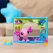 Hasbro   -   (00593)