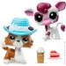 Hasbro   -    (00625)