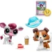 Hasbro   -    (00625)